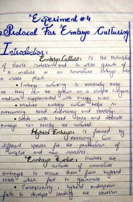 handwriting assignment work 2