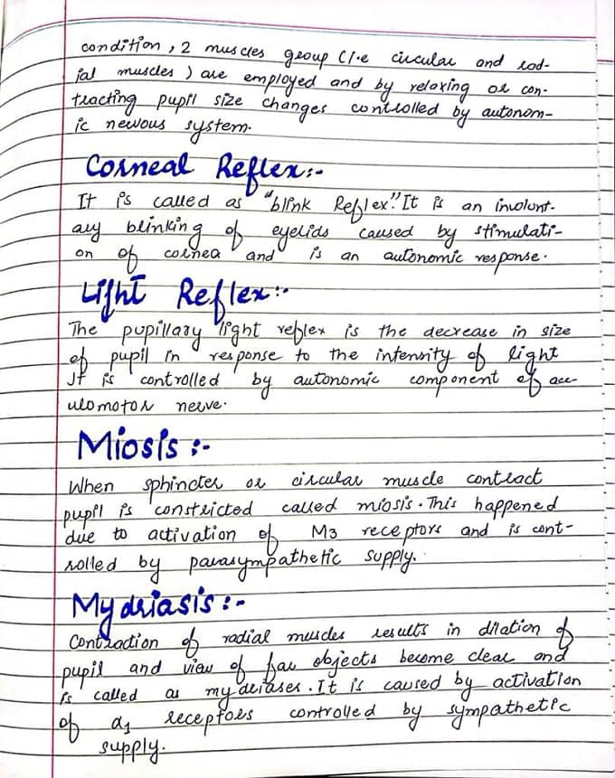 handwriting assignment work 13