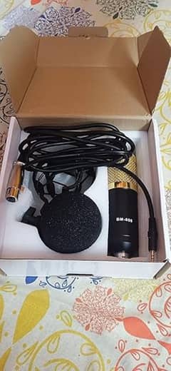 bm 800 microphone original