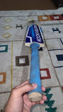 new bat for sale