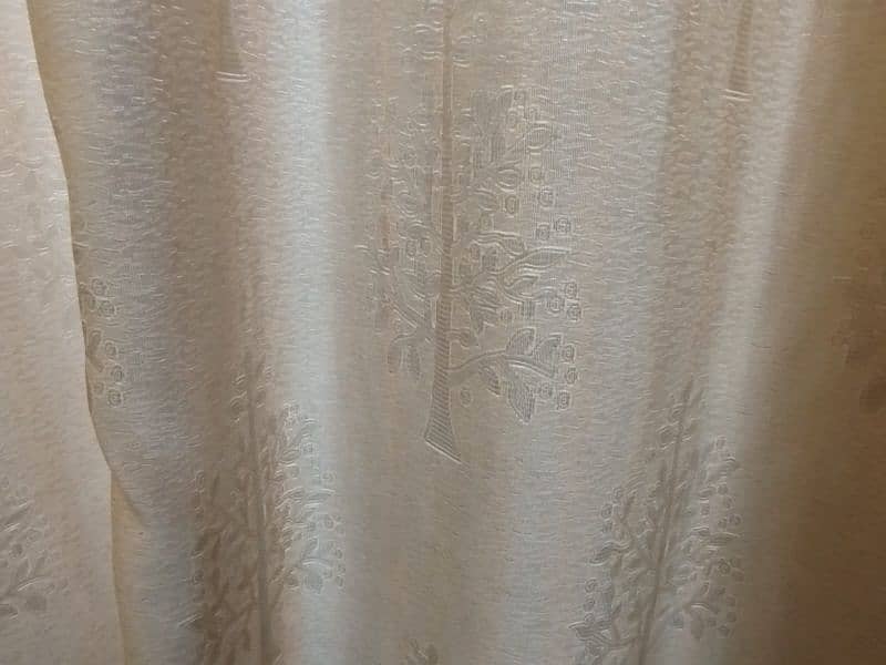 beige colour curtains 2