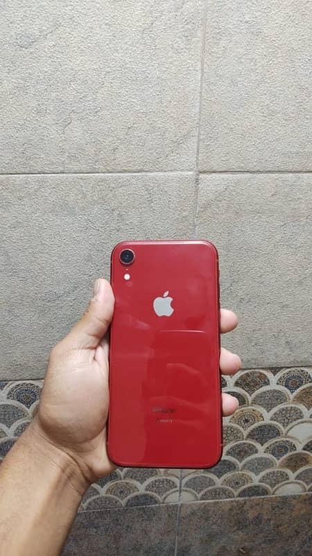 IPhone xr (like new) 2