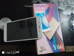 Vivo. (y66)