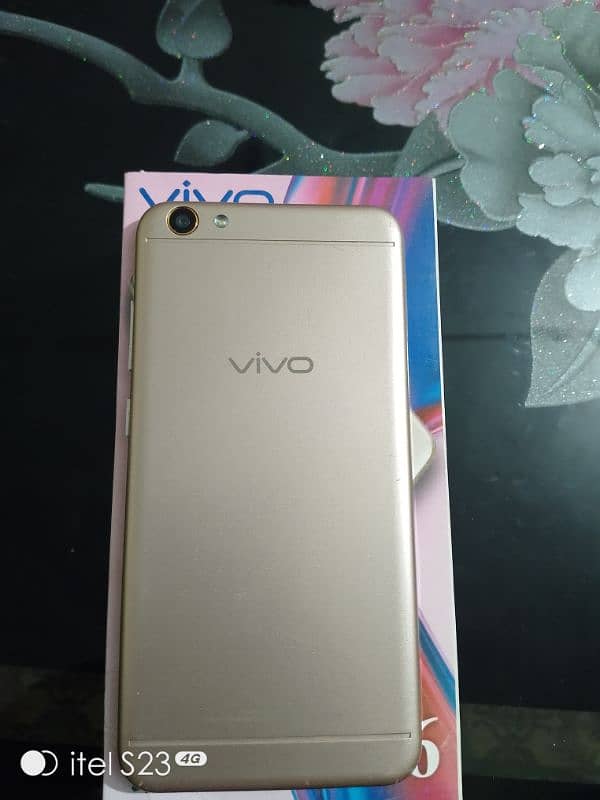 Vivo. (y66) 1