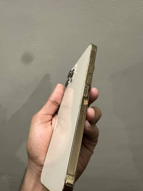 iphone 12 pro max Approved (256 gb) golden 1