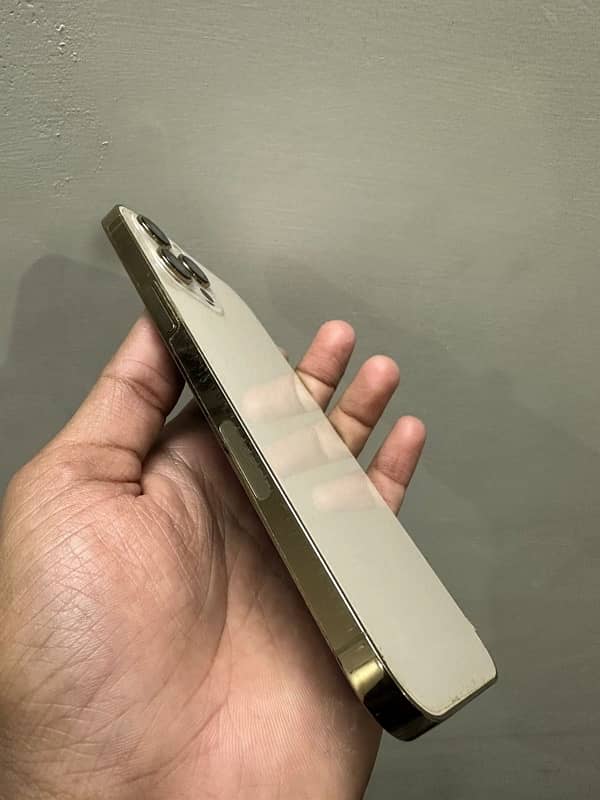 iphone 12 pro max Approved (256 gb) golden 2