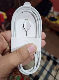 iPhone 16 Pro Max Original C To C Cable  03209404817