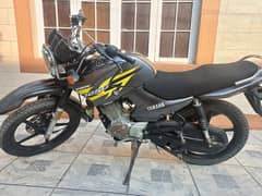 Yamaha YBR 125 for sale