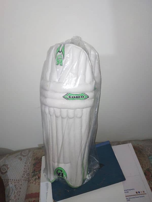 Cricket kit 5