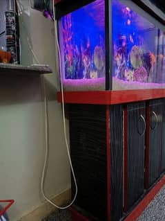 aquarium