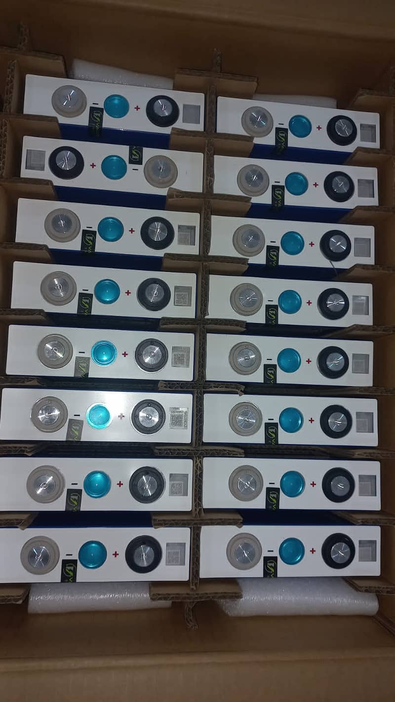 ithium ion phosphate batteries and cells 2