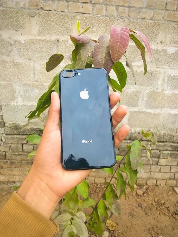 iPhone 8 Plus Non Pta 64 Gb 0