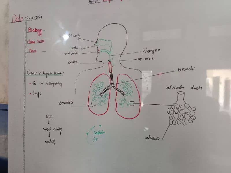 Science Teacher 9