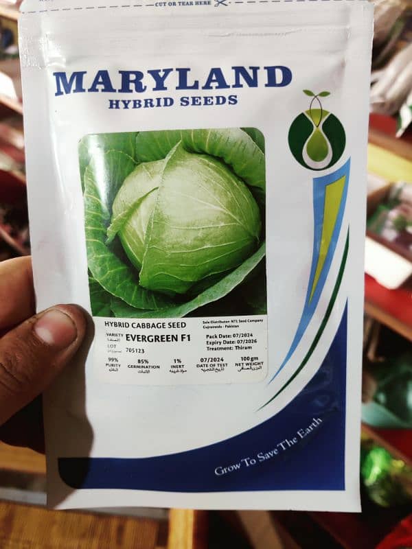 F1 hybrid cabbage 0