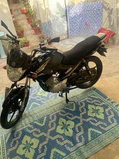 Ybr 125 All punjab No