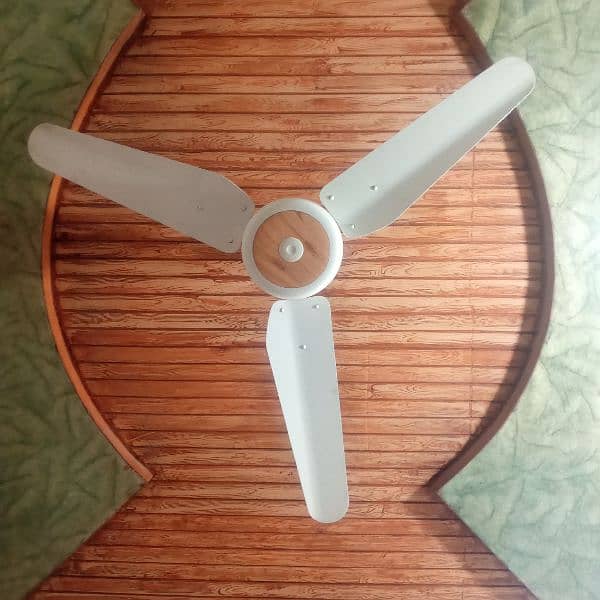 Celling Fan Lahore Fan Ravian 1