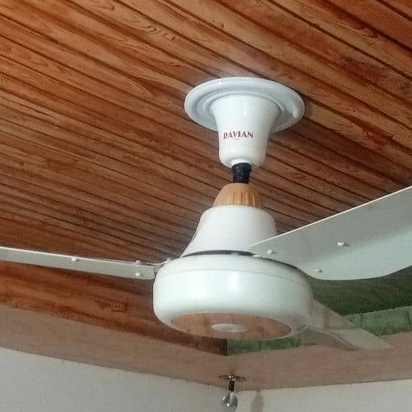 Celling Fan Lahore Fan Ravian 2