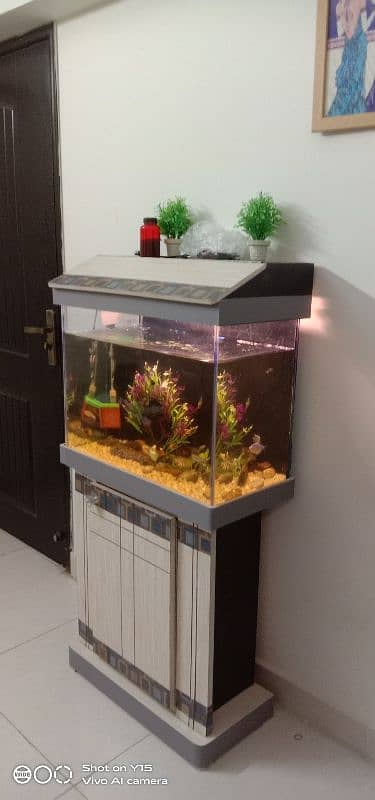 NiCe Aquarium 2