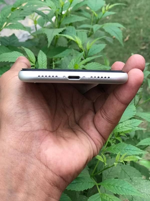 iPhone11 White   128GB 5