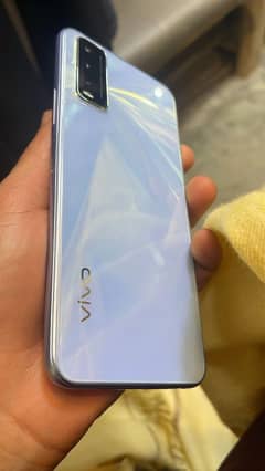 vivo