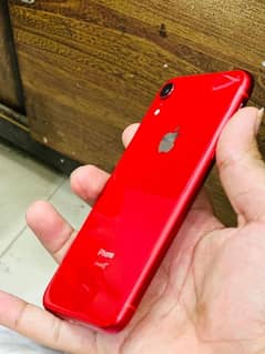 Iphone XR Red color