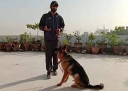 Dog Trainer