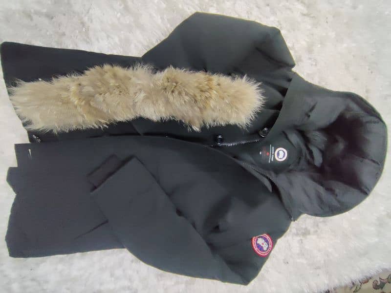 Canada Goose/Jackets/Jacket 3