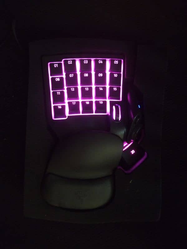 Razer Tartarus v2 RGB Gaming Keypad 2