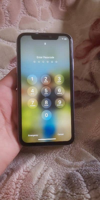 iPhone 11. non pta 1