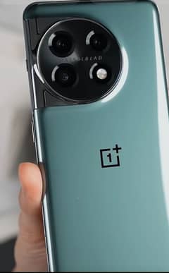 oneplus11