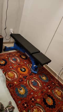 Custom built adjuatable gym bench