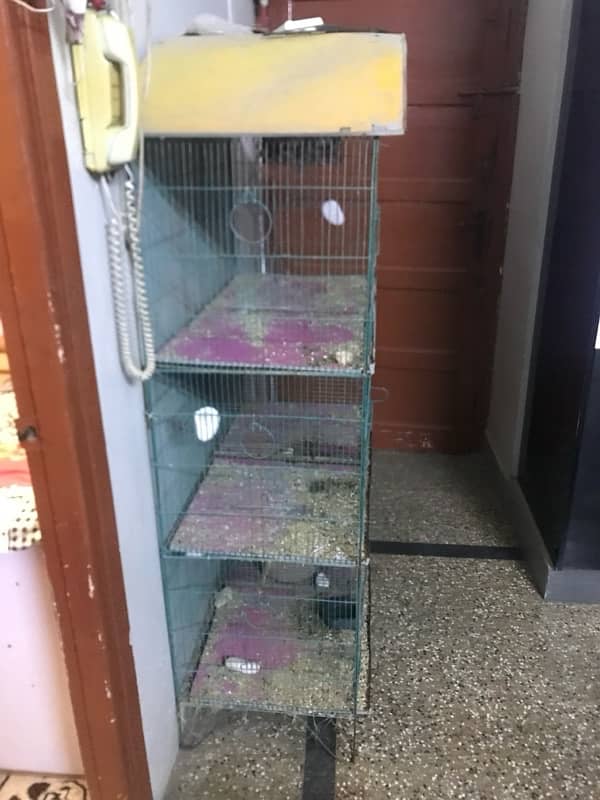 cage for sale 2