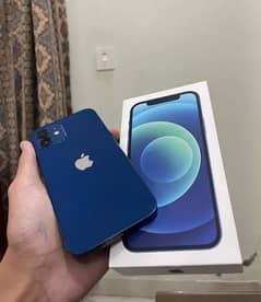 iphone 12 64gb both sim pta approved