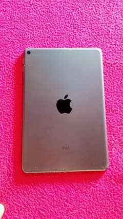 I pad mini 5