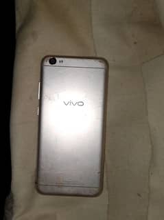 Vivo.