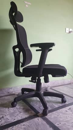 Ergonomic Executive Chair - Backcare - Lumbar Support