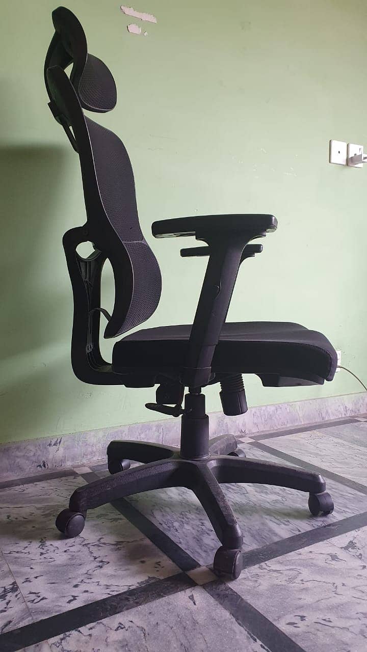 Ergonomic Executive Chair - Backcare - Lumbar Support 0