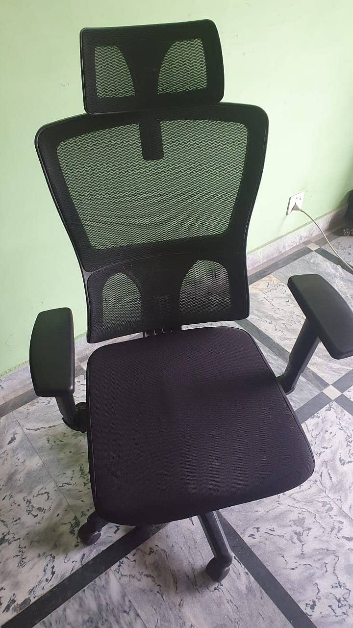 Ergonomic Executive Chair - Backcare - Lumbar Support 1