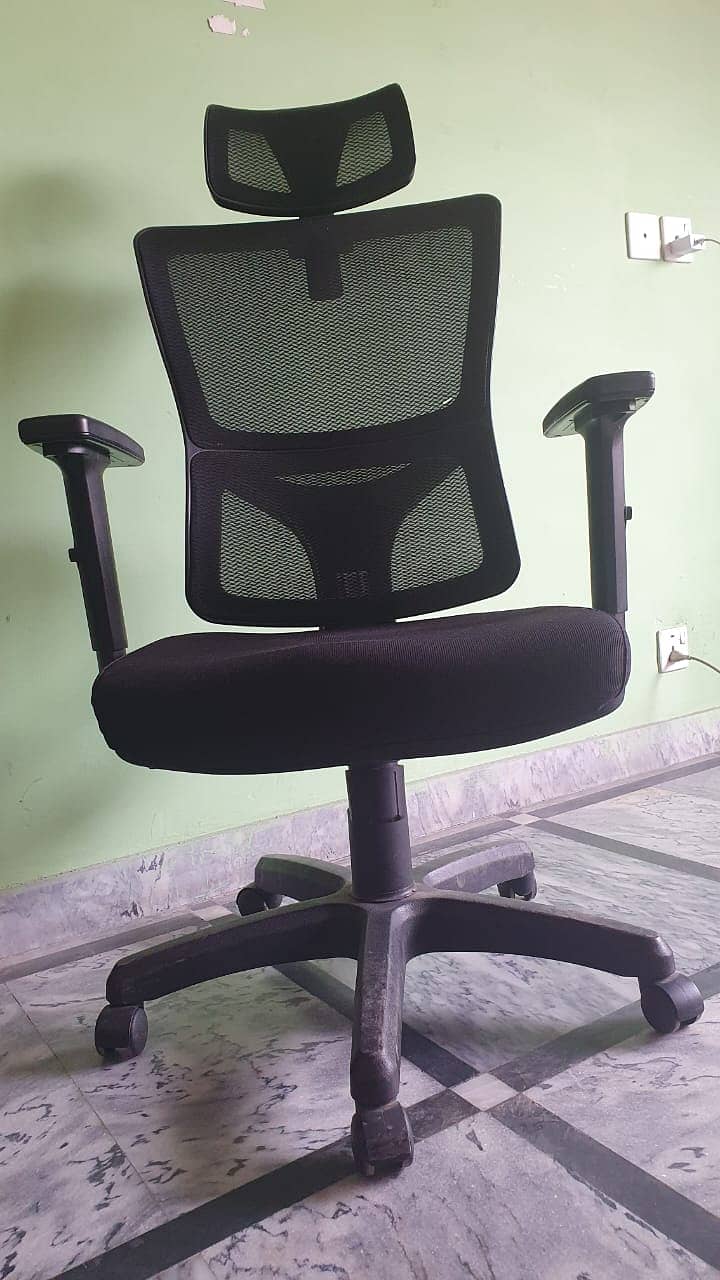 Ergonomic Executive Chair - Backcare - Lumbar Support 2