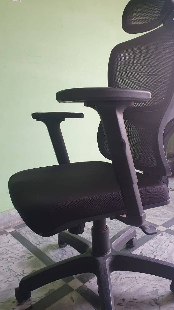 Ergonomic Executive Chair - Backcare - Lumbar Support 3