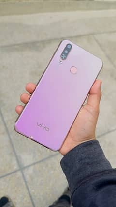 VIVO