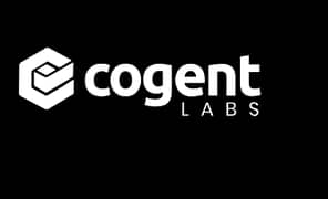 Hiring Driver for Company CEO (Cogent Labs)