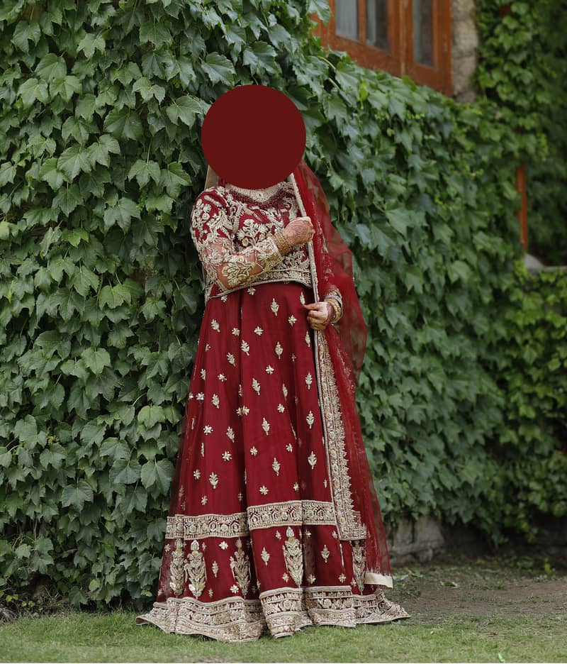 Bridal Dress ( Blood Colour) 3