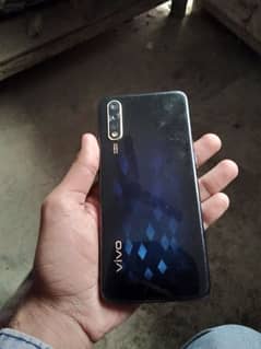 vivo