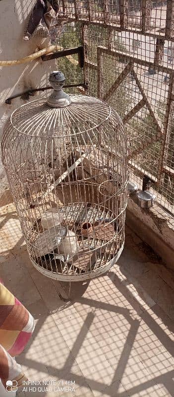 Parrot Cage For Sale 0