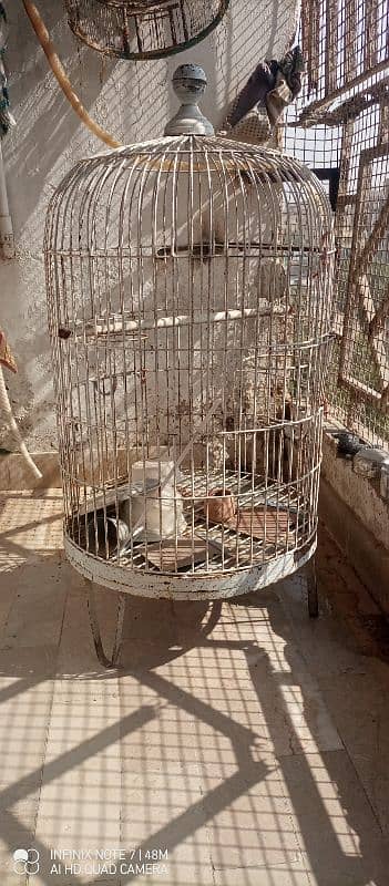 Parrot Cage For Sale 1