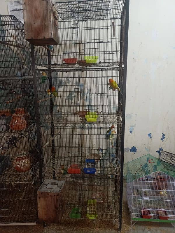 lovebirds cage 0