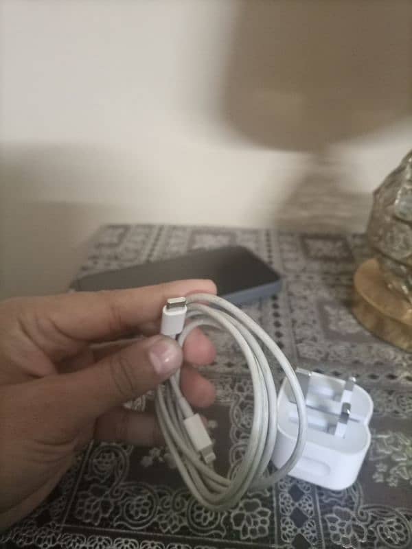 apple orignal adapter n cable 2