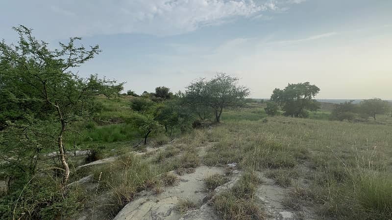 106 Kanal Land Chakwal Near Balkasar 5