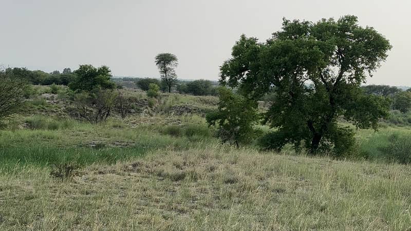 106 Kanal Land Chakwal Near Balkasar 7